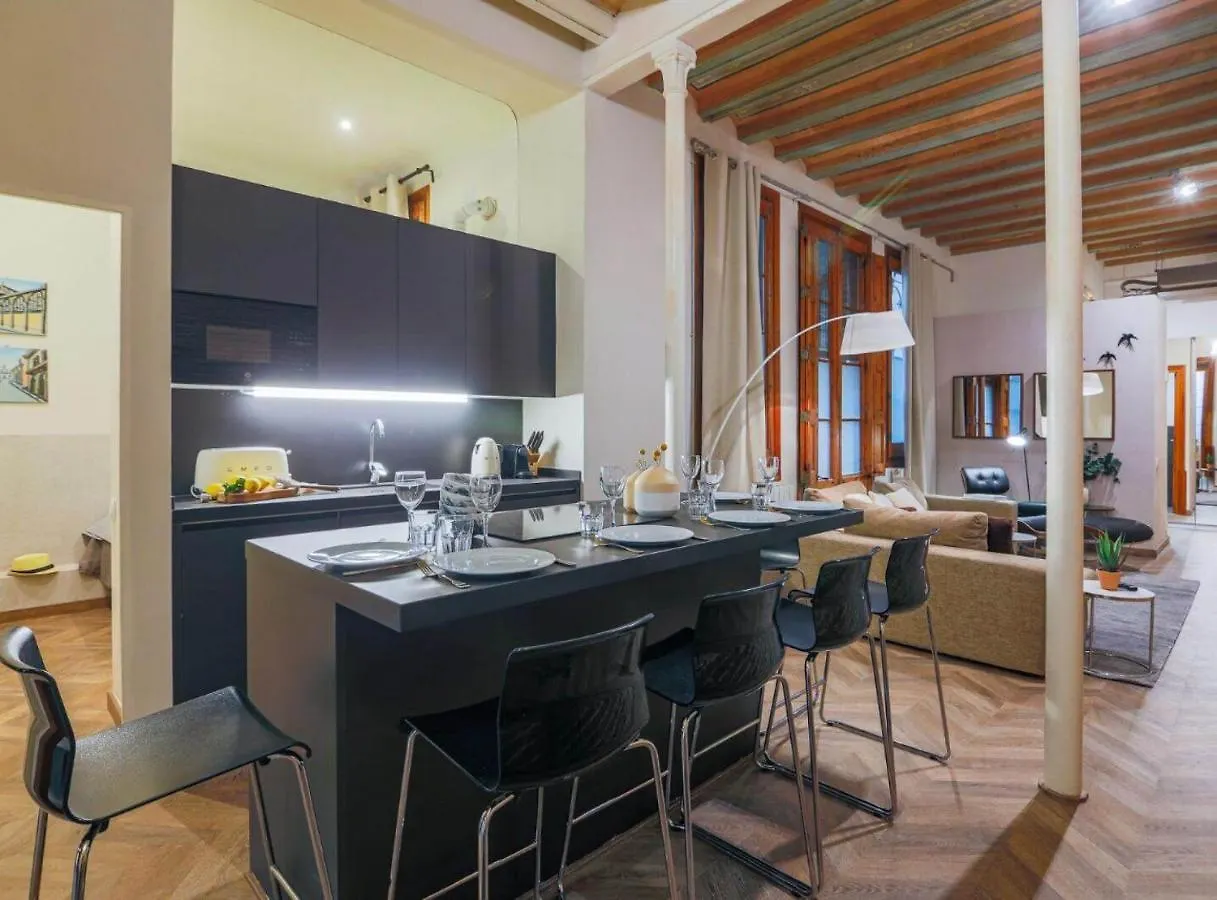 Avinyo 2 Gotic - Spacious Loft In Gothic Quarter! Barcelona